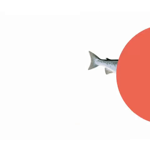 Landing-01-EN-small-new