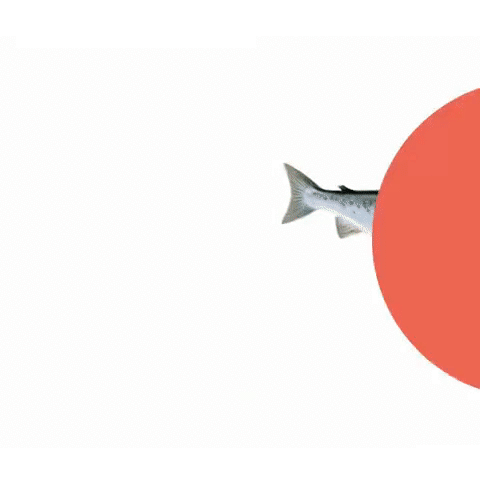 Landing-01-FR-small-new